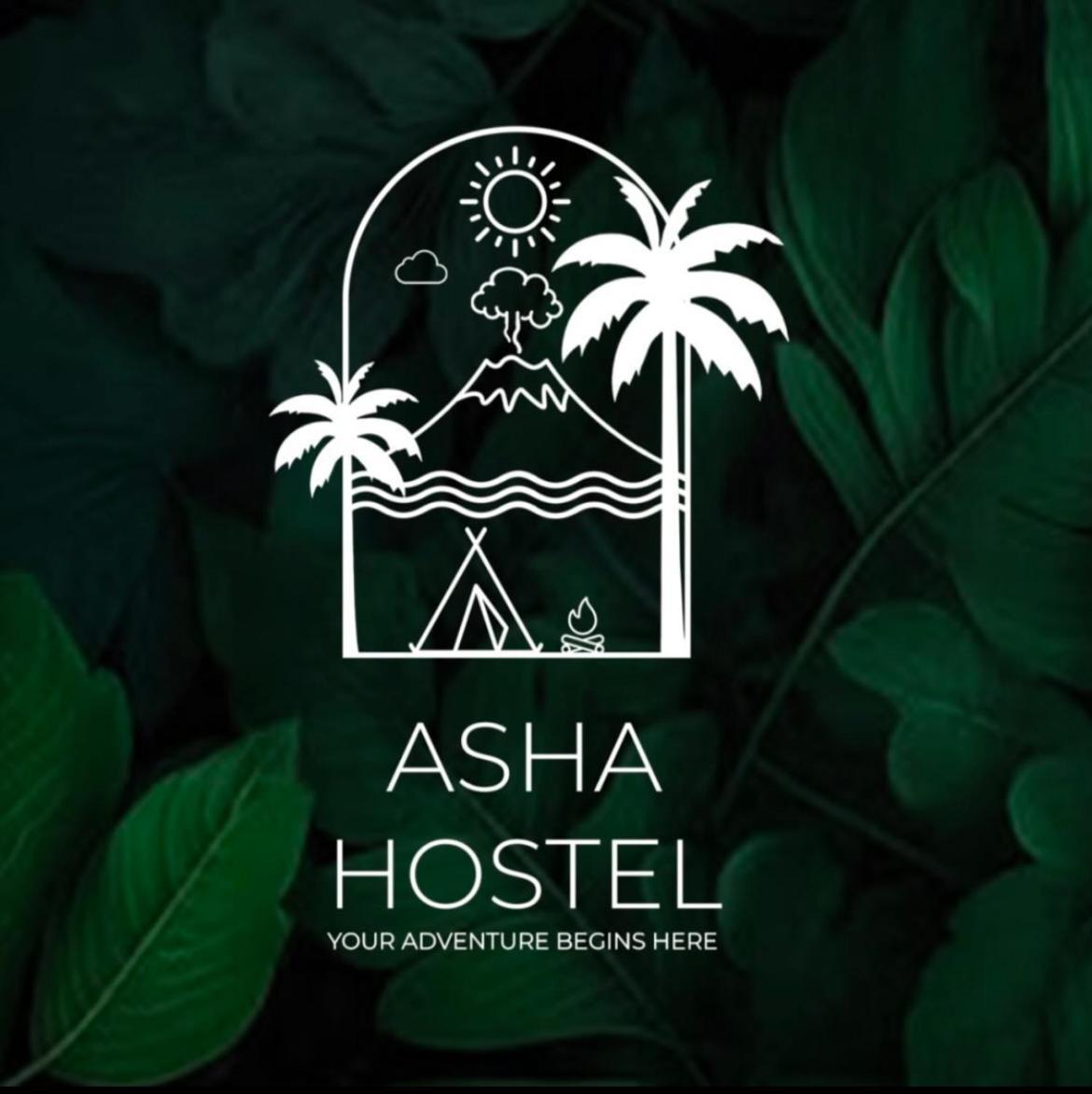 Asha Hostel ラ・フォルトゥナ エクステリア 写真